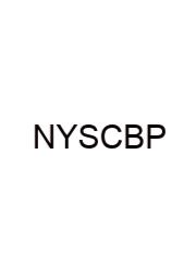 New York State Cities By Population