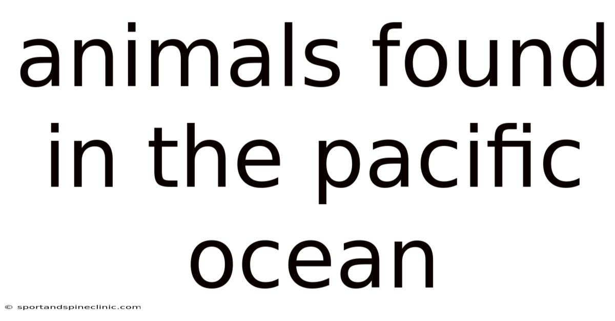 Animals Found In The Pacific Ocean