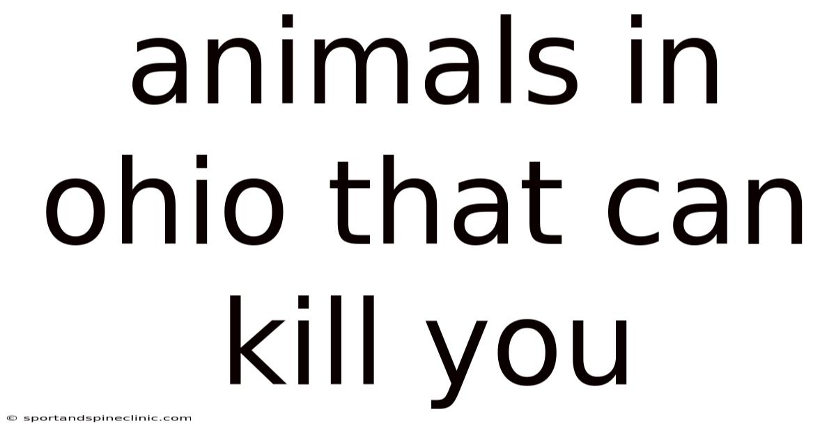 Animals In Ohio That Can Kill You