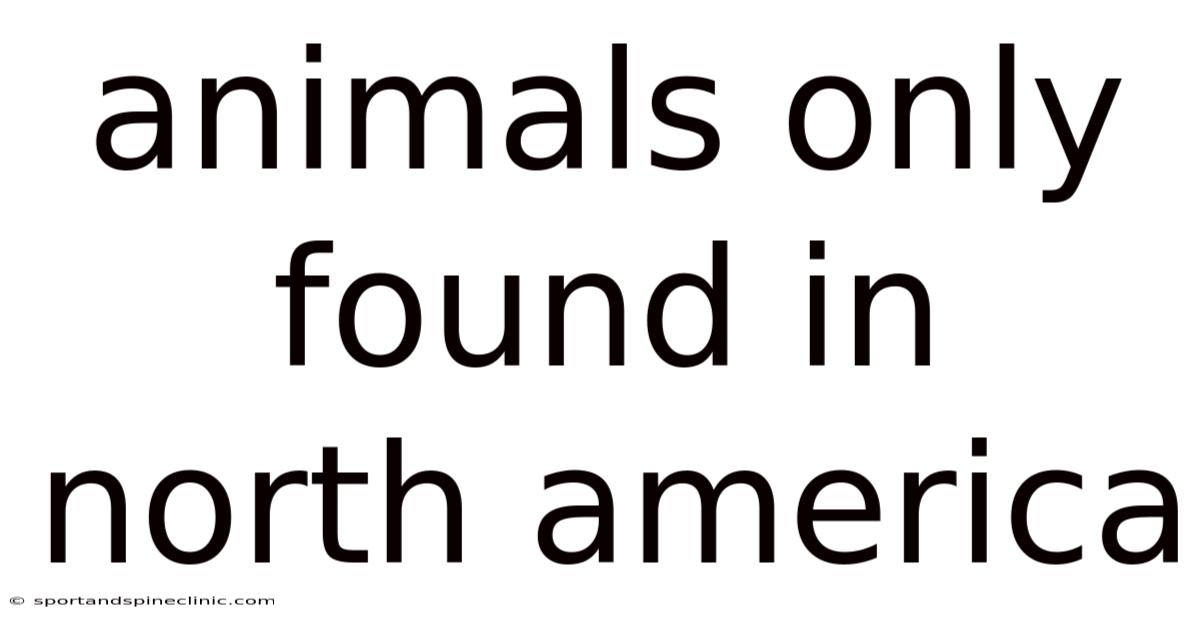 Animals Only Found In North America