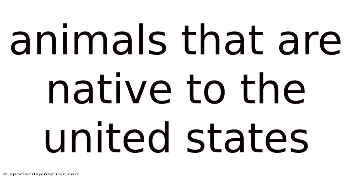 Animals That Are Native To The United States