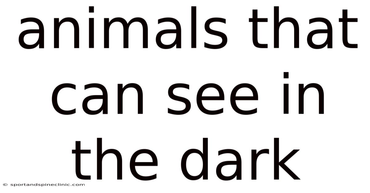 Animals That Can See In The Dark