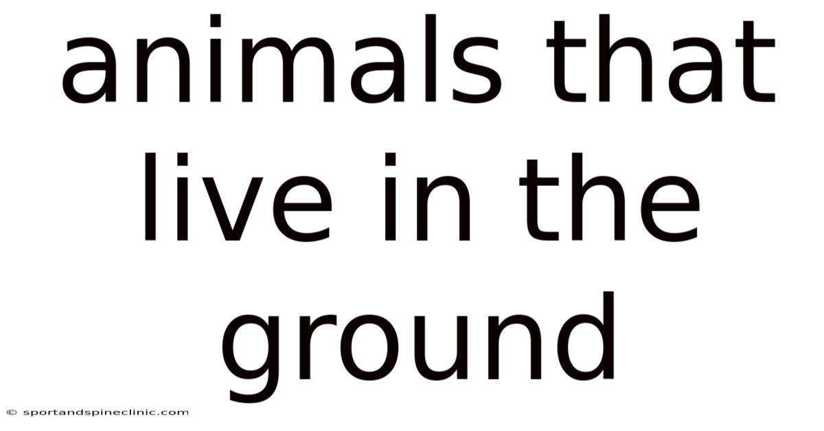 Animals That Live In The Ground