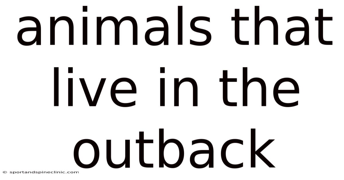 Animals That Live In The Outback