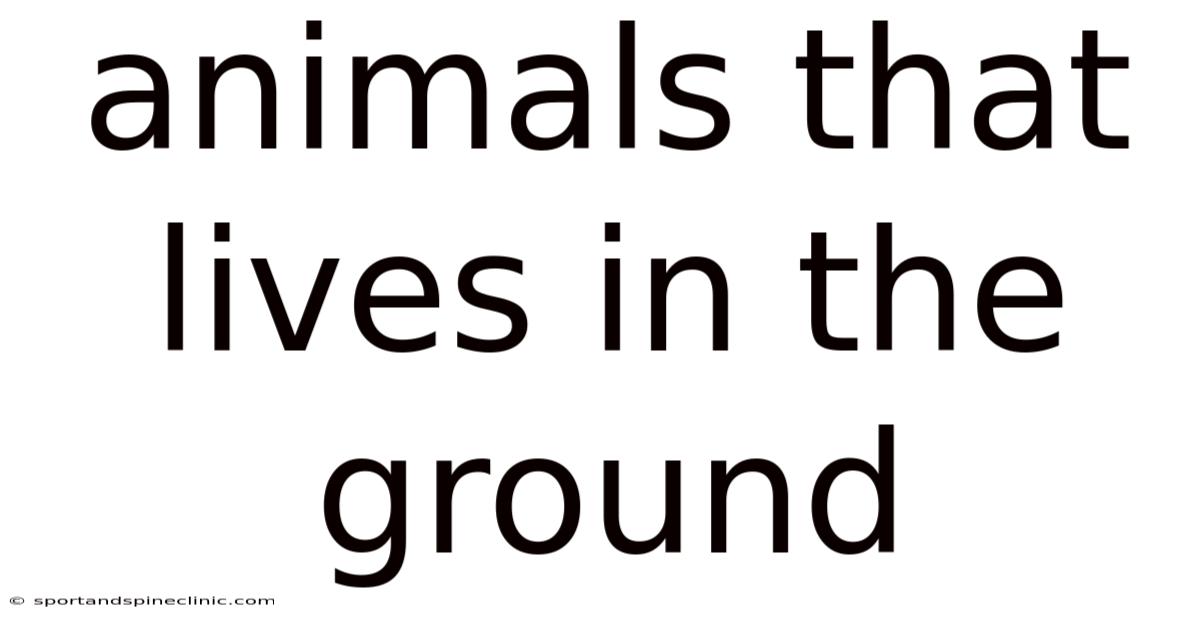 Animals That Lives In The Ground