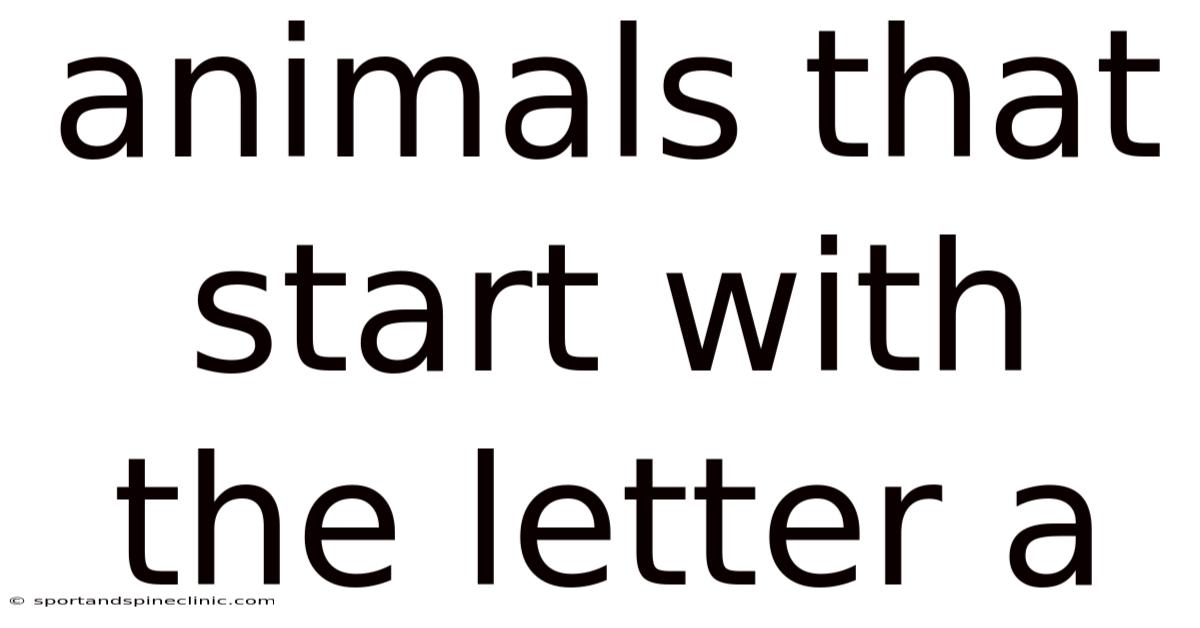 Animals That Start With The Letter A