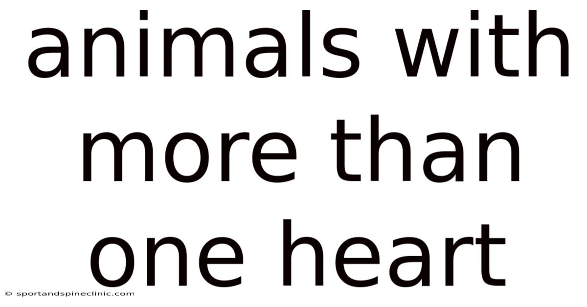 Animals With More Than One Heart