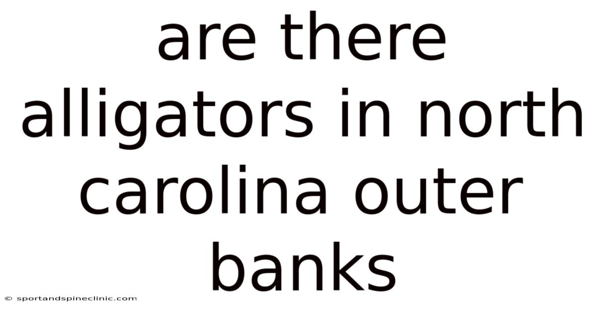 Are There Alligators In North Carolina Outer Banks