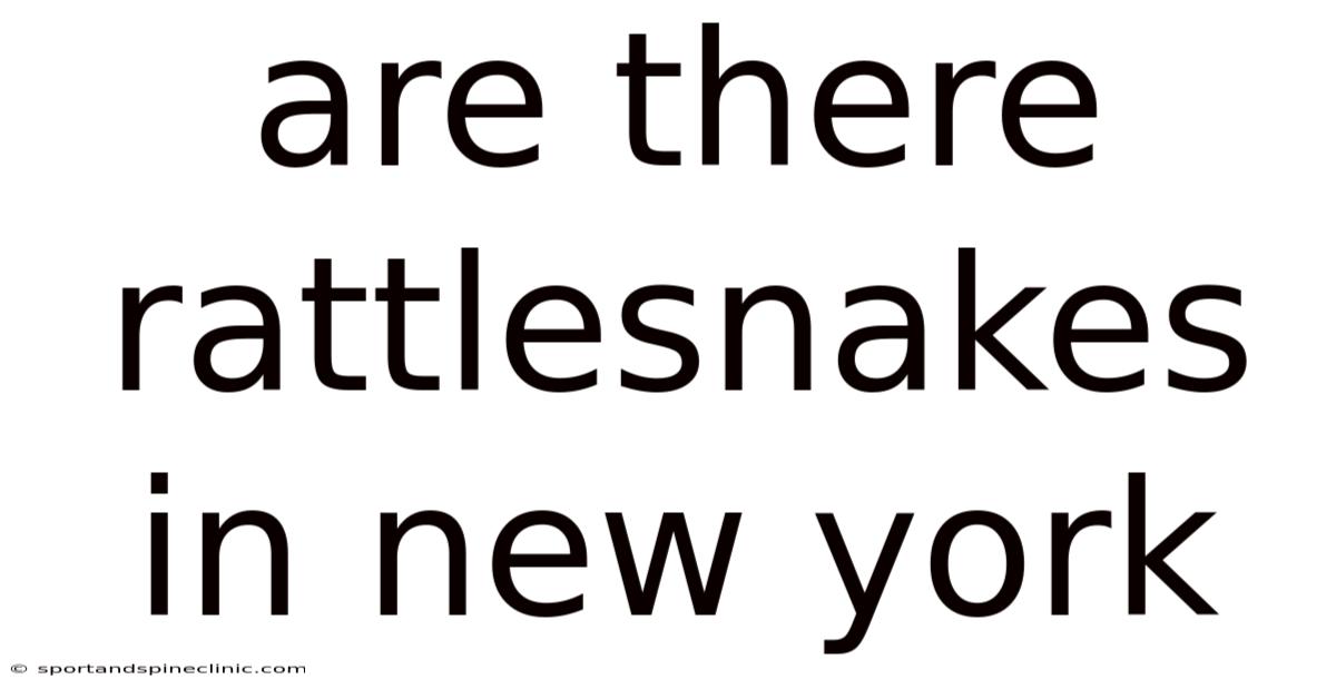 Are There Rattlesnakes In New York