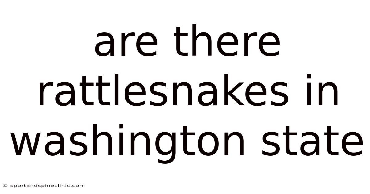 Are There Rattlesnakes In Washington State