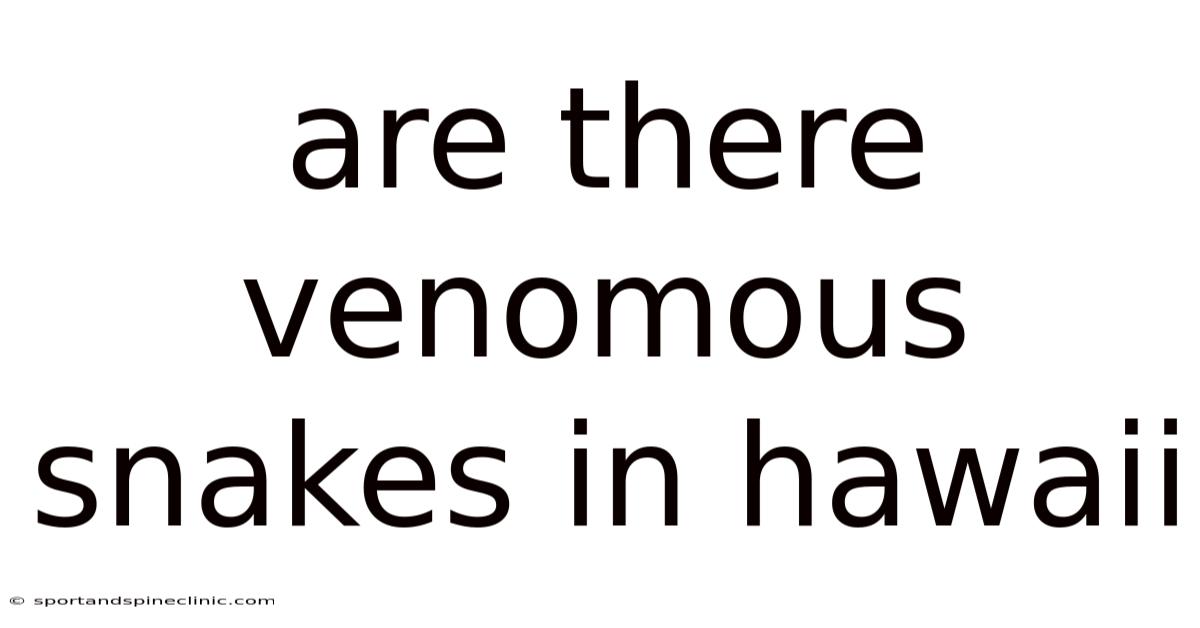 Are There Venomous Snakes In Hawaii