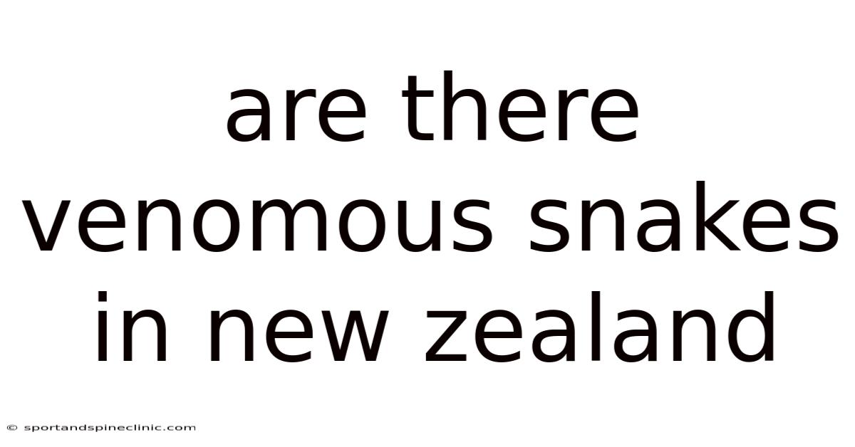 Are There Venomous Snakes In New Zealand