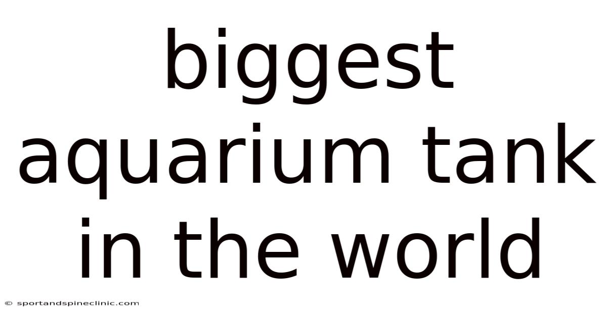 Biggest Aquarium Tank In The World