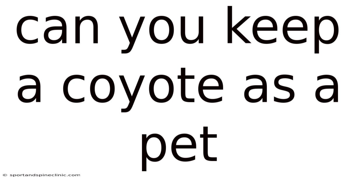 Can You Keep A Coyote As A Pet