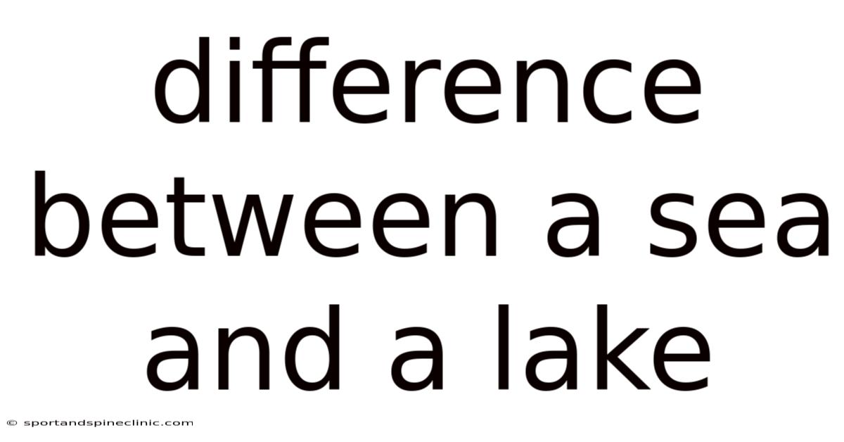 Difference Between A Sea And A Lake
