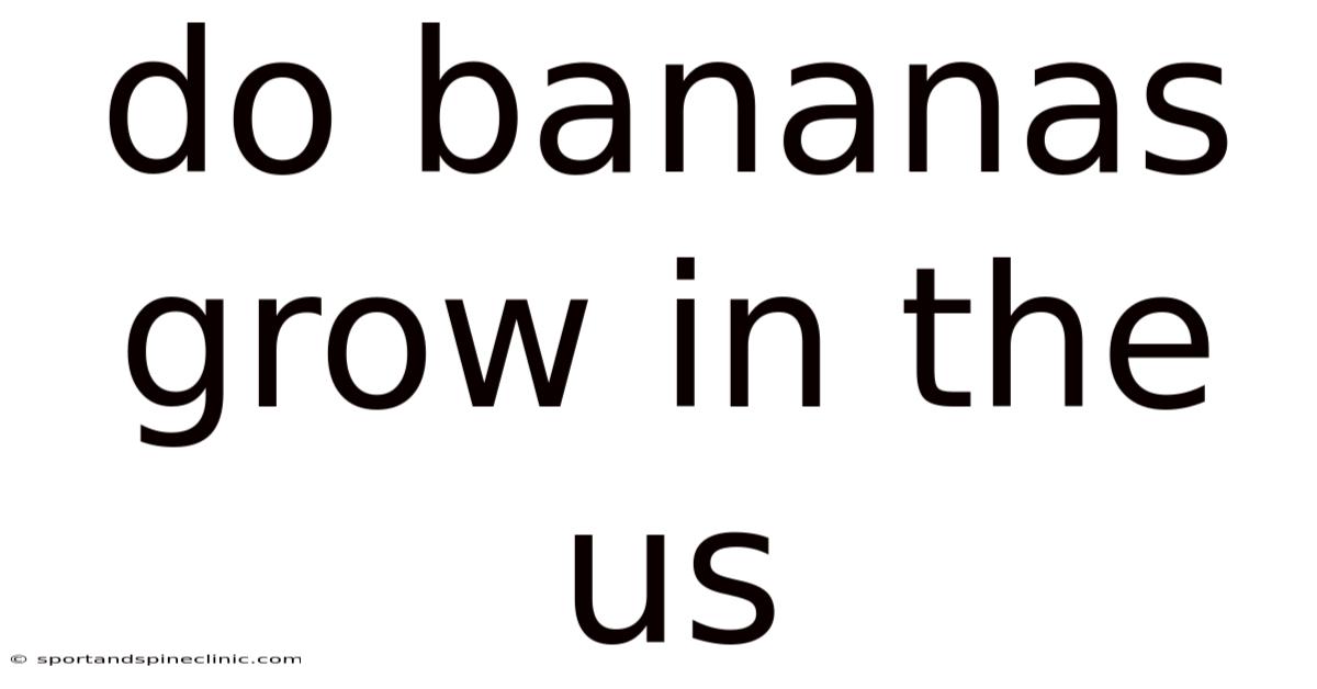 Do Bananas Grow In The Us