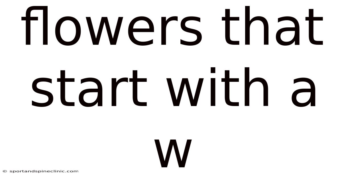 Flowers That Start With A W