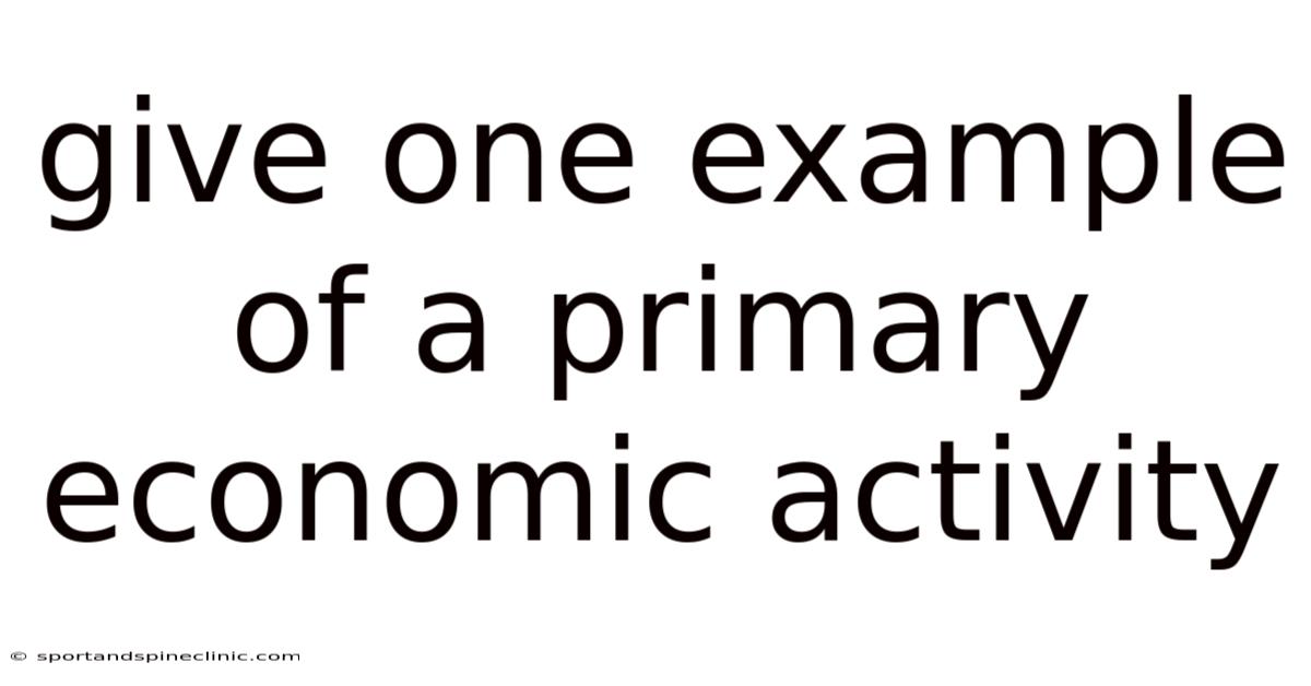 Give One Example Of A Primary Economic Activity