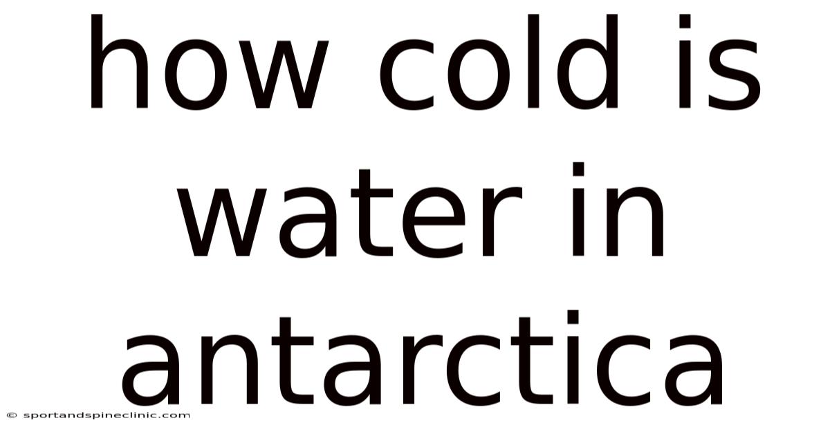 How Cold Is Water In Antarctica