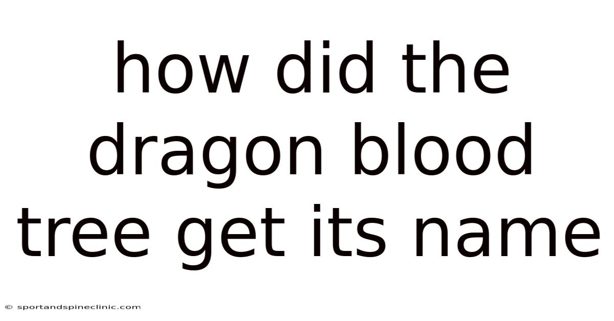 How Did The Dragon Blood Tree Get Its Name