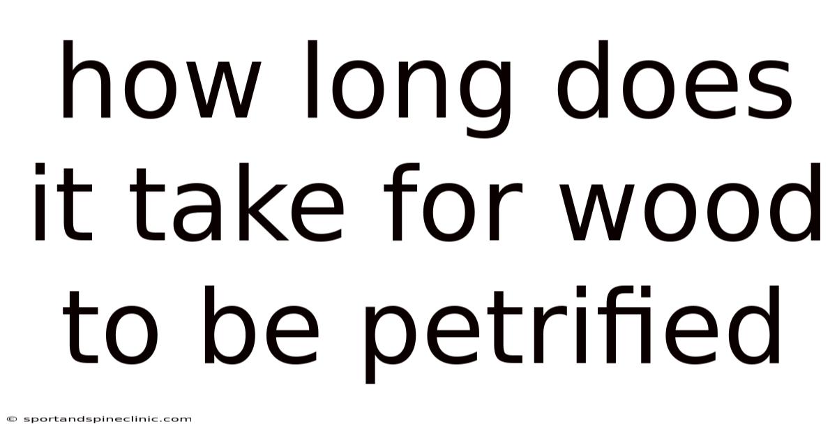 How Long Does It Take For Wood To Be Petrified