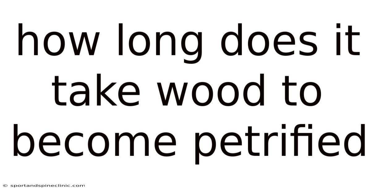 How Long Does It Take Wood To Become Petrified