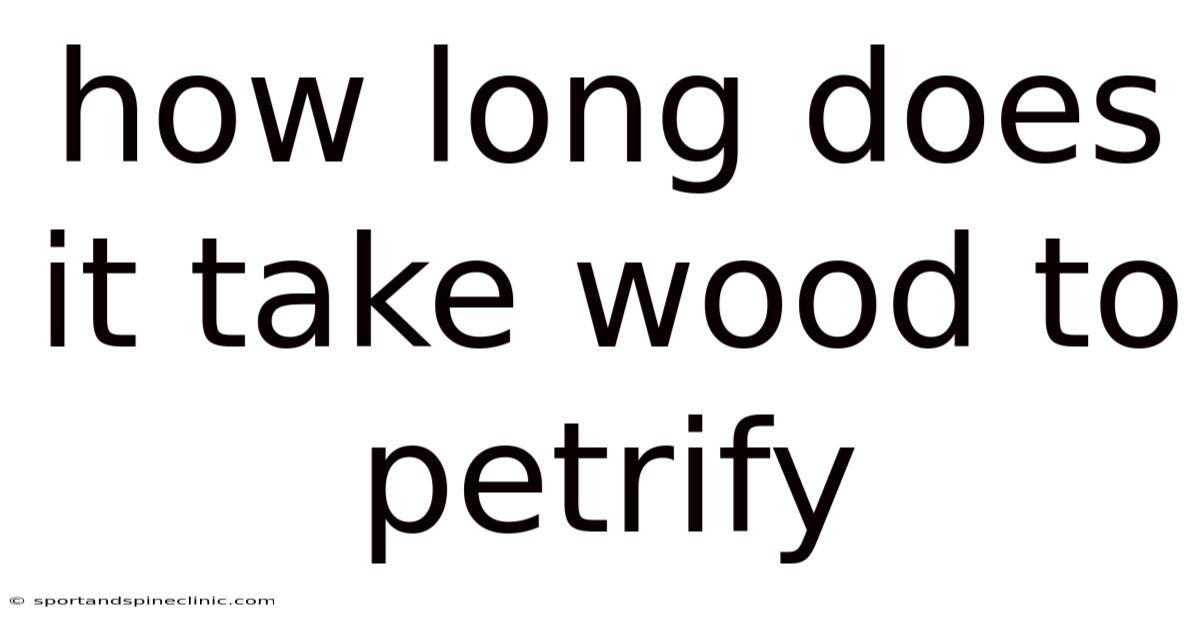 How Long Does It Take Wood To Petrify