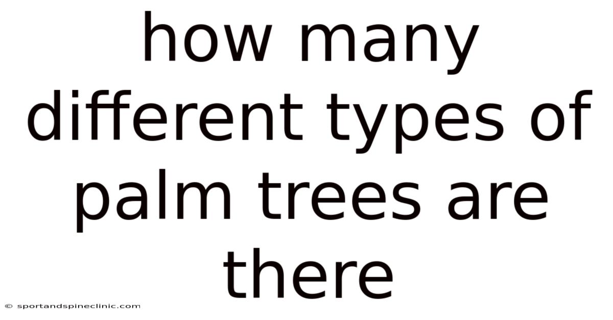 How Many Different Types Of Palm Trees Are There