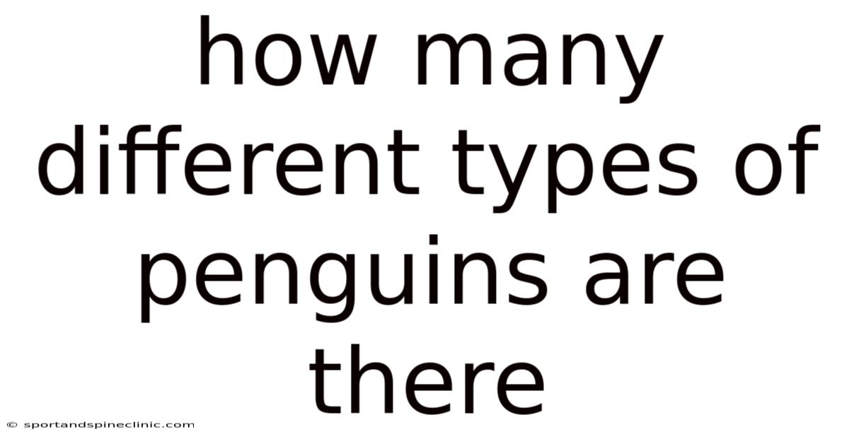 How Many Different Types Of Penguins Are There