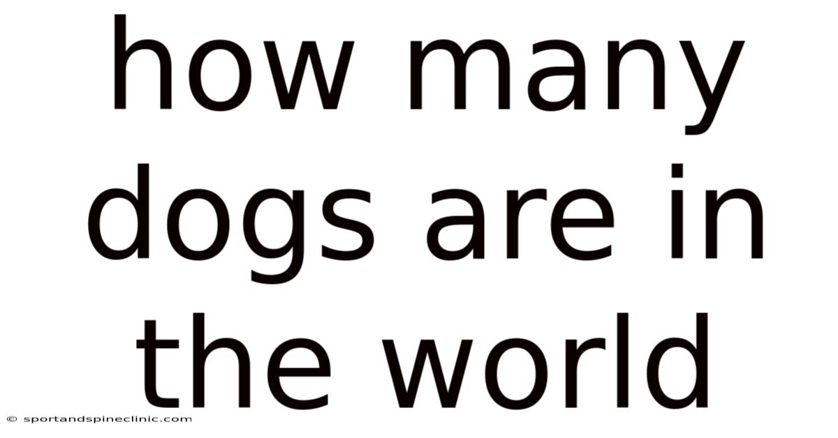 How Many Dogs Are In The World
