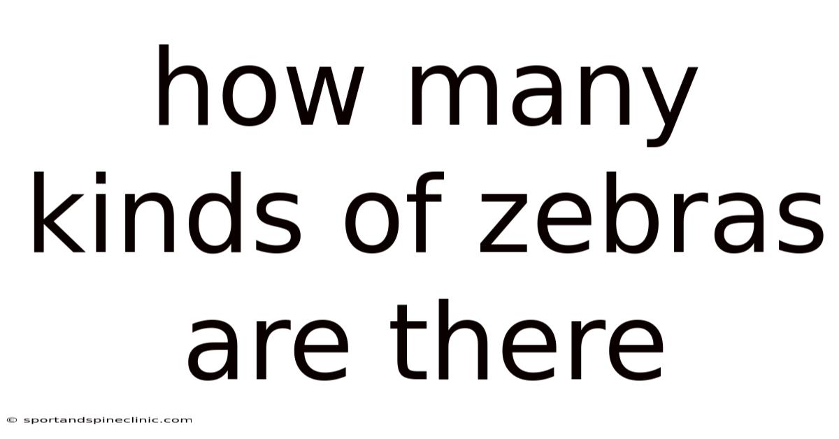 How Many Kinds Of Zebras Are There