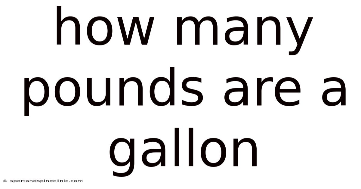 How Many Pounds Are A Gallon