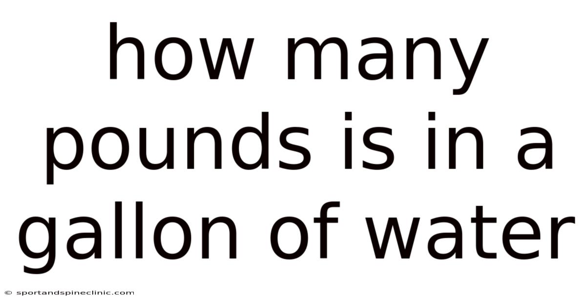 How Many Pounds Is In A Gallon Of Water