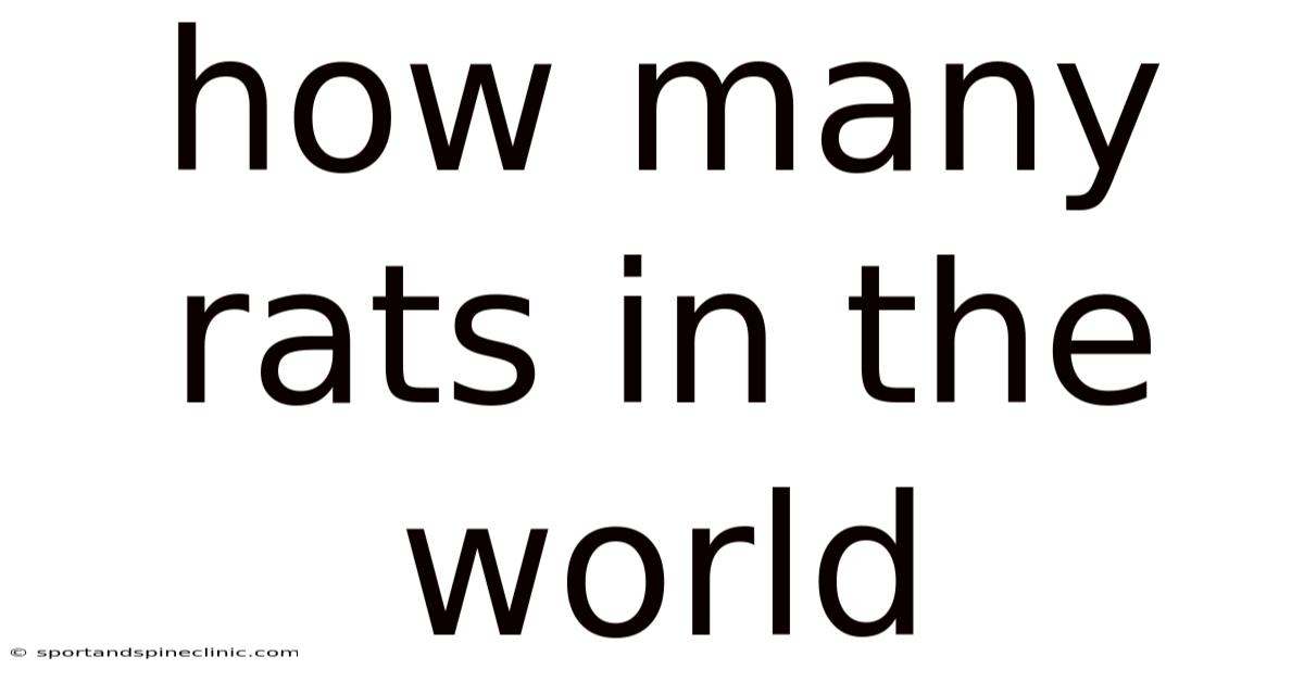 How Many Rats In The World