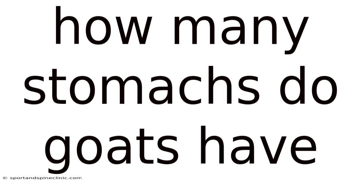 How Many Stomachs Do Goats Have