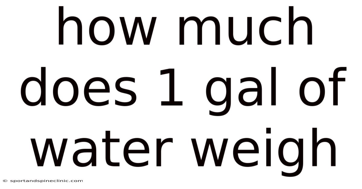 How Much Does 1 Gal Of Water Weigh