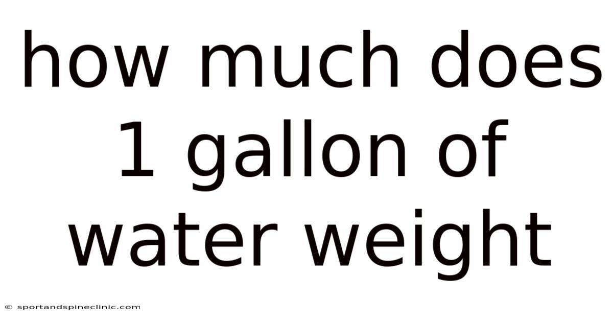 How Much Does 1 Gallon Of Water Weight