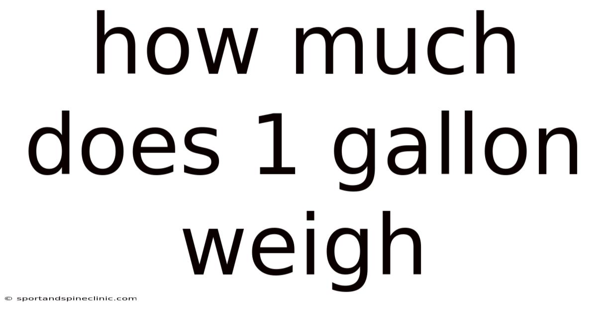 How Much Does 1 Gallon Weigh