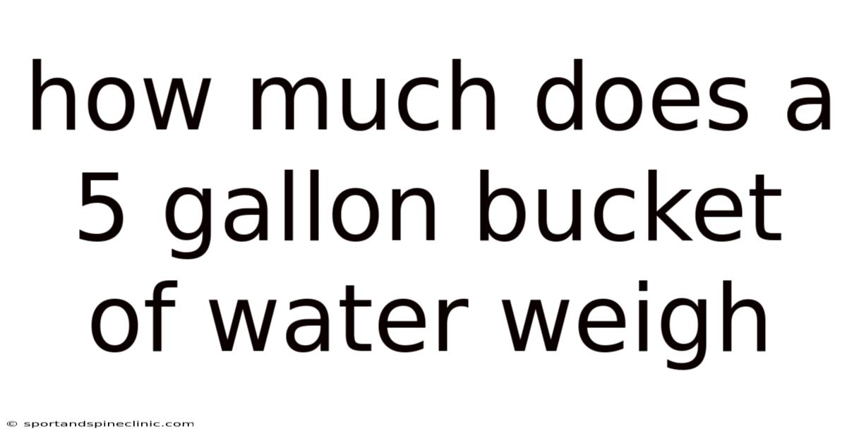 How Much Does A 5 Gallon Bucket Of Water Weigh