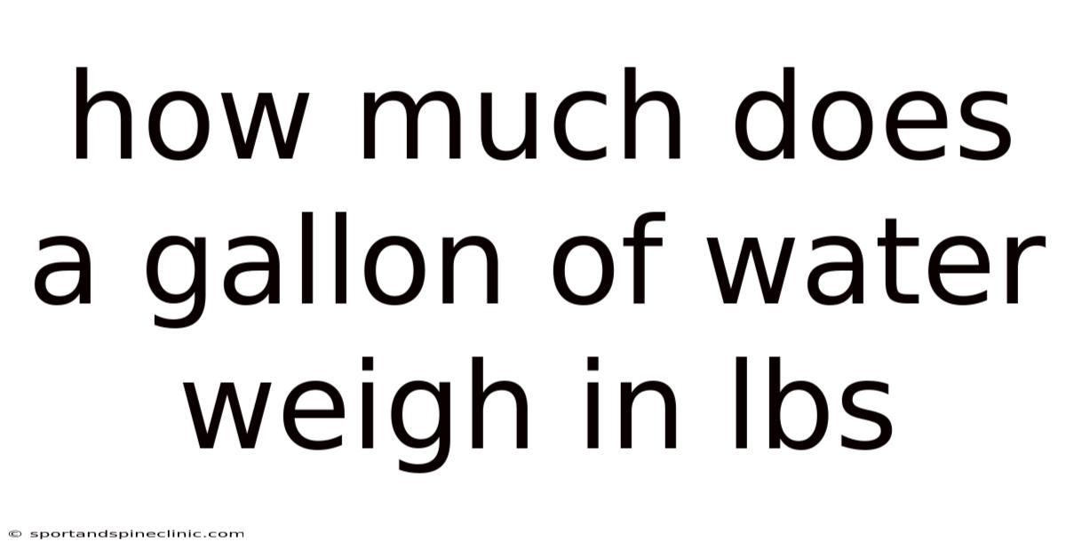 How Much Does A Gallon Of Water Weigh In Lbs