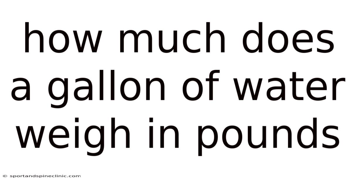 How Much Does A Gallon Of Water Weigh In Pounds