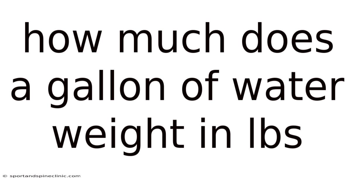 How Much Does A Gallon Of Water Weight In Lbs