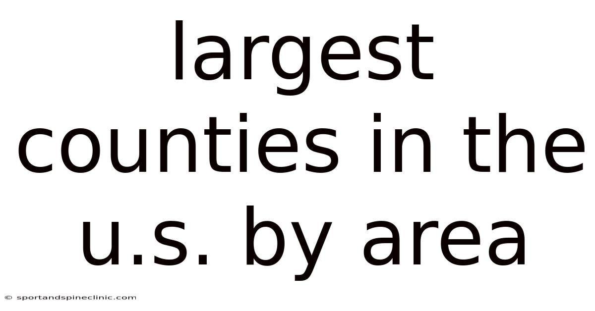 Largest Counties In The U.s. By Area