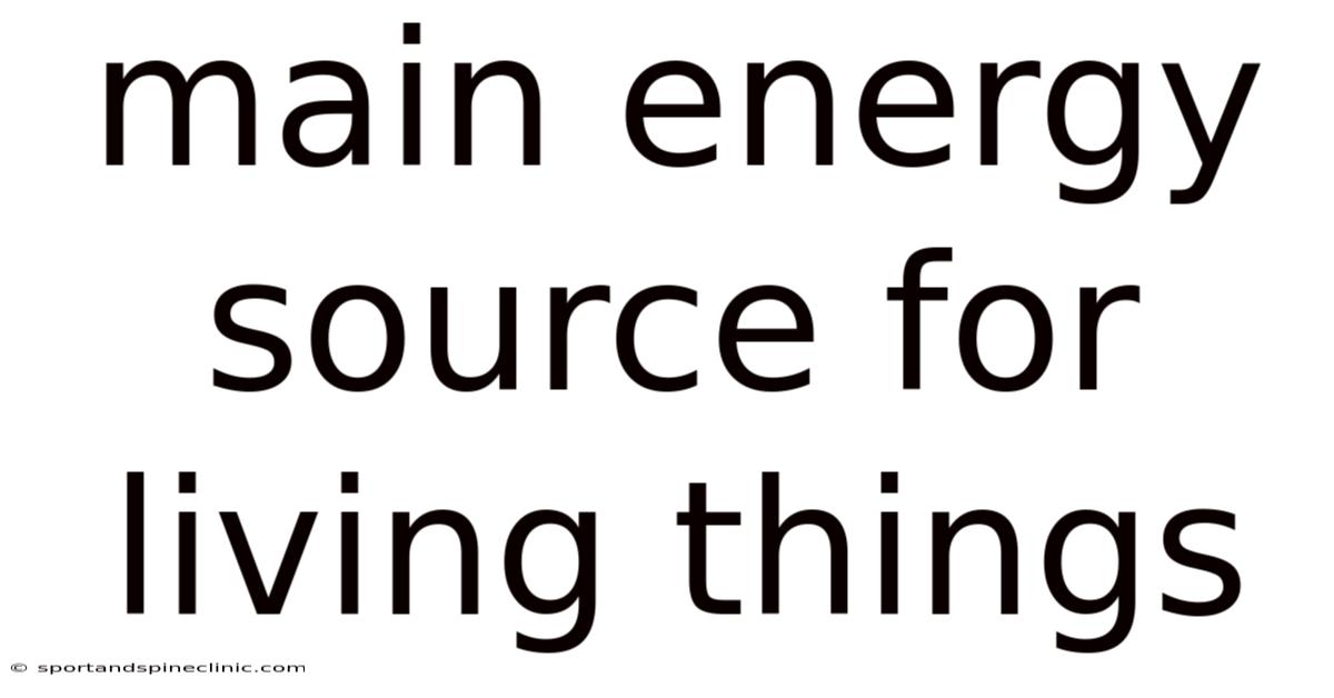 Main Energy Source For Living Things