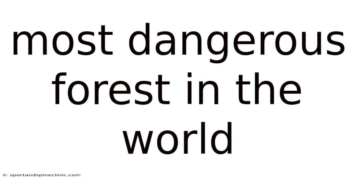 Most Dangerous Forest In The World