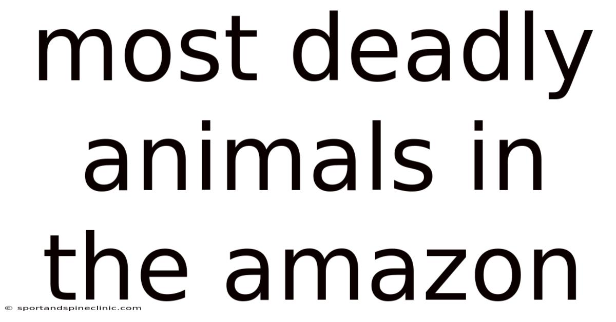 Most Deadly Animals In The Amazon