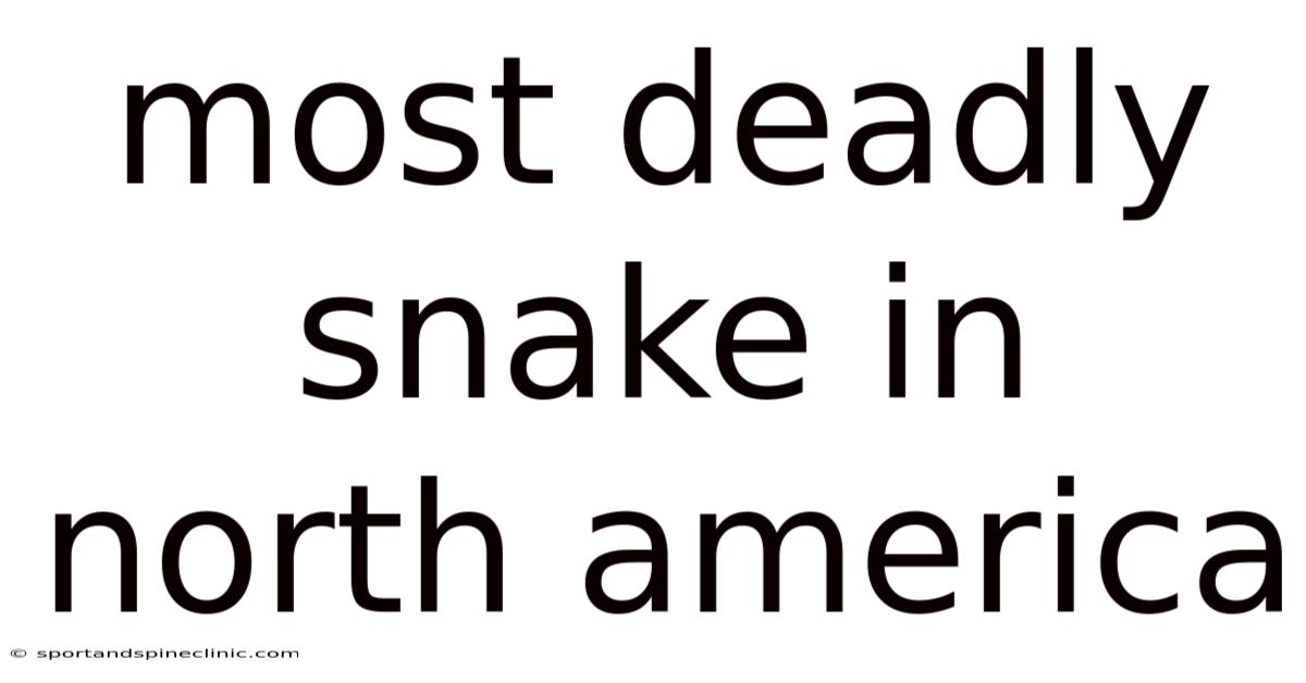 Most Deadly Snake In North America