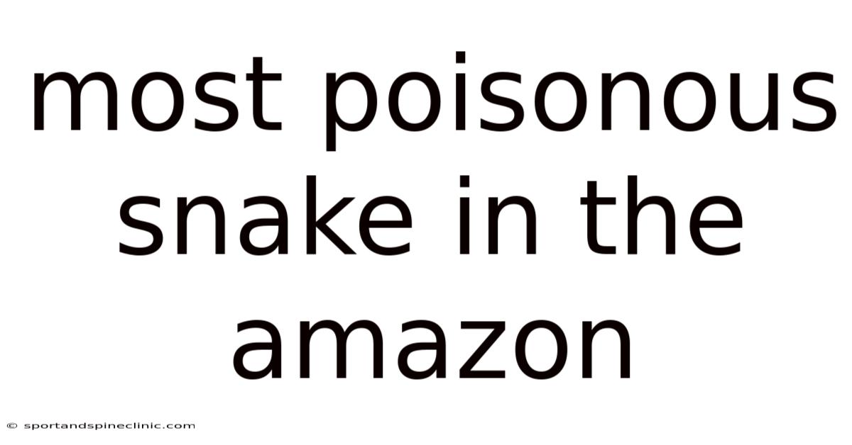 Most Poisonous Snake In The Amazon