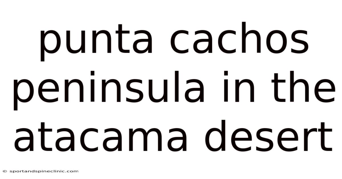 Punta Cachos Peninsula In The Atacama Desert