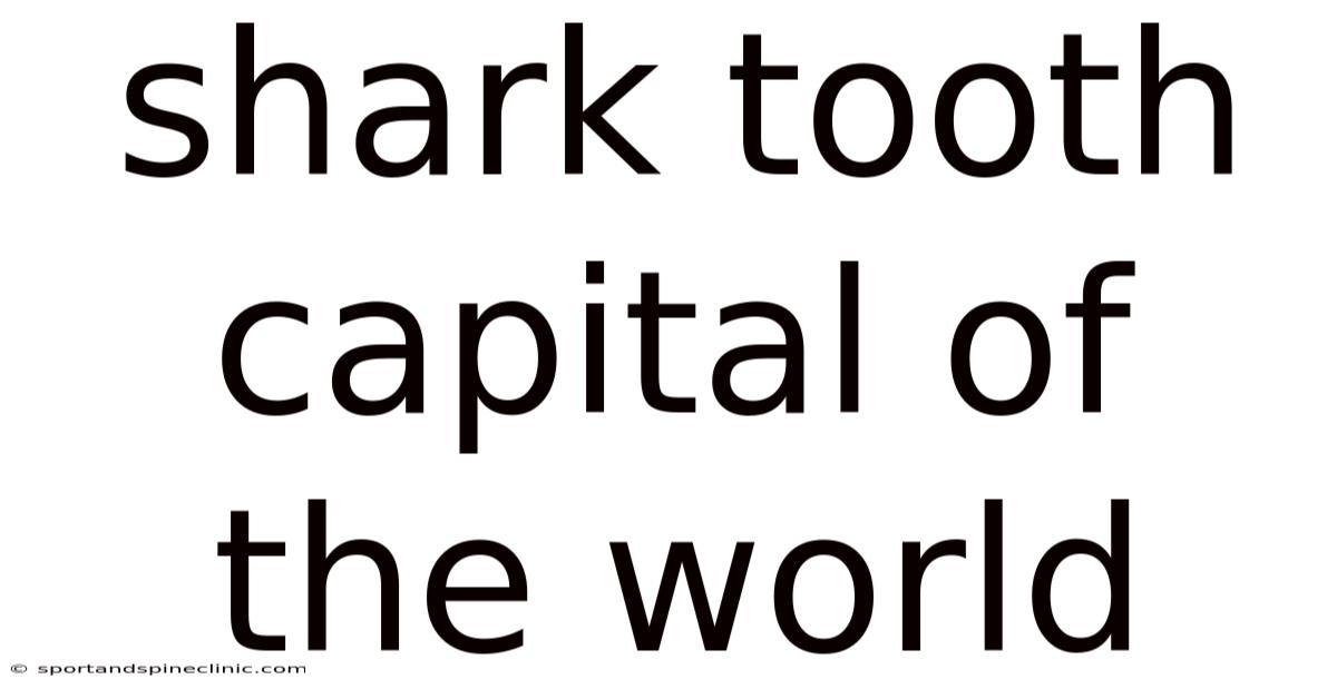 Shark Tooth Capital Of The World